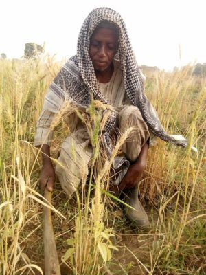 local farmer